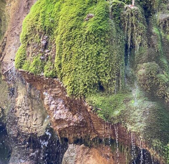 Пансион Gasthaus Casa Kugler