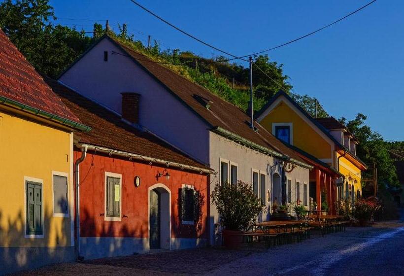 פנסיון Gästehaus Familie Trachsler