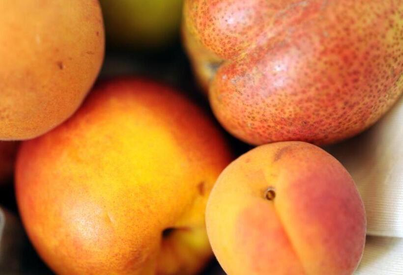 פנסיון Gästehaus Familie Trachsler