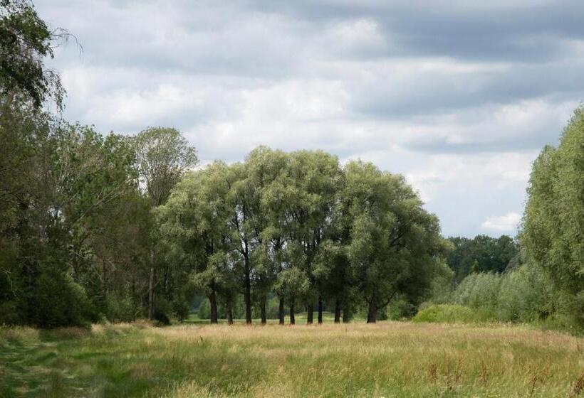 Пансион Gästezimmer Aschenbrenner