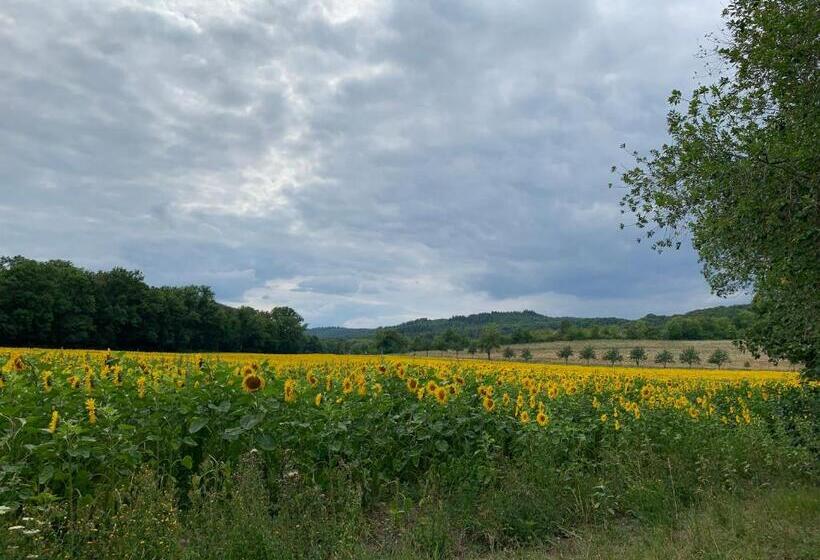 Пансион Kleineauszeit