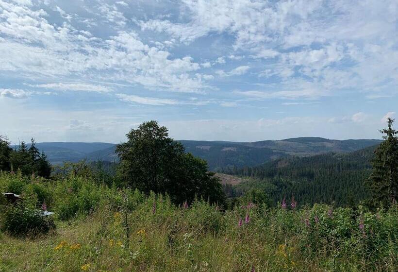 Пансион Kleineauszeit