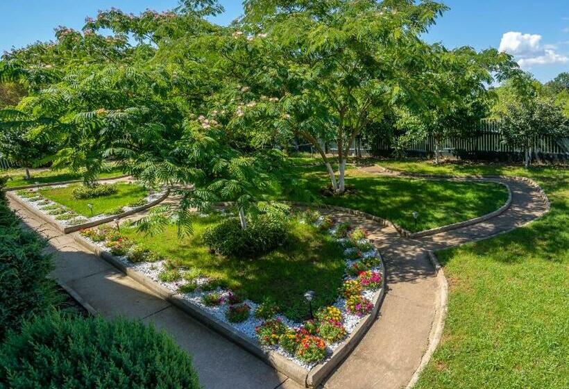 膳宿费 Vila Cataleya