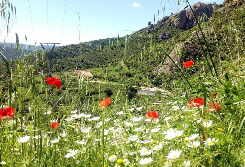 بنسيون Villa Garibaldi