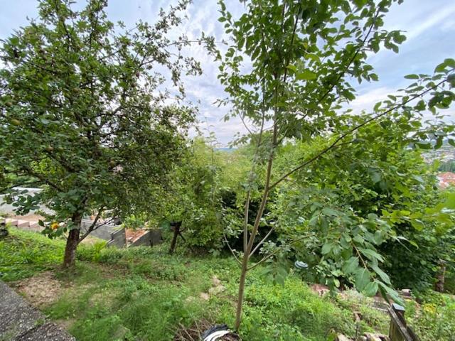 פנסיון Monteurswohnung Zimmerfrei Marktheidenfeld