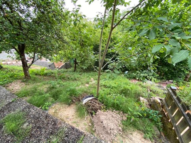 פנסיון Monteurswohnung Zimmerfrei Marktheidenfeld