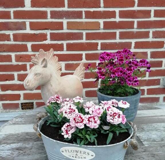 Wings Creek Ranch B&b