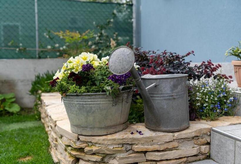 B&b Il Granaio Celeste