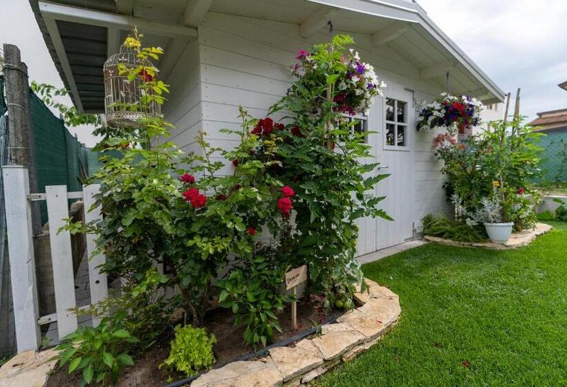 B&b Il Granaio Celeste