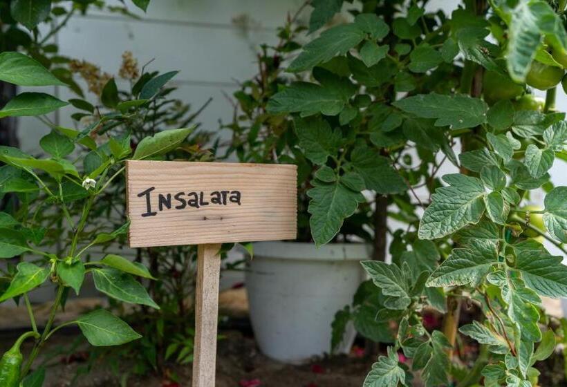 B&b Il Granaio Celeste