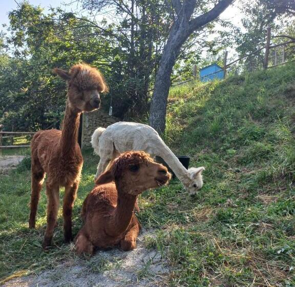 B&b La Casa Dei Cuori