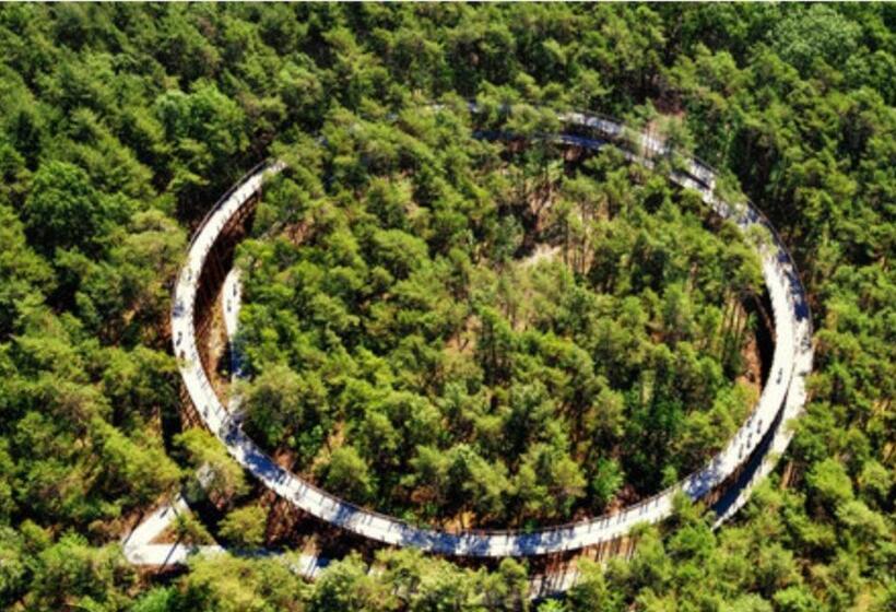 住宿加早餐 T Wilgenhuys