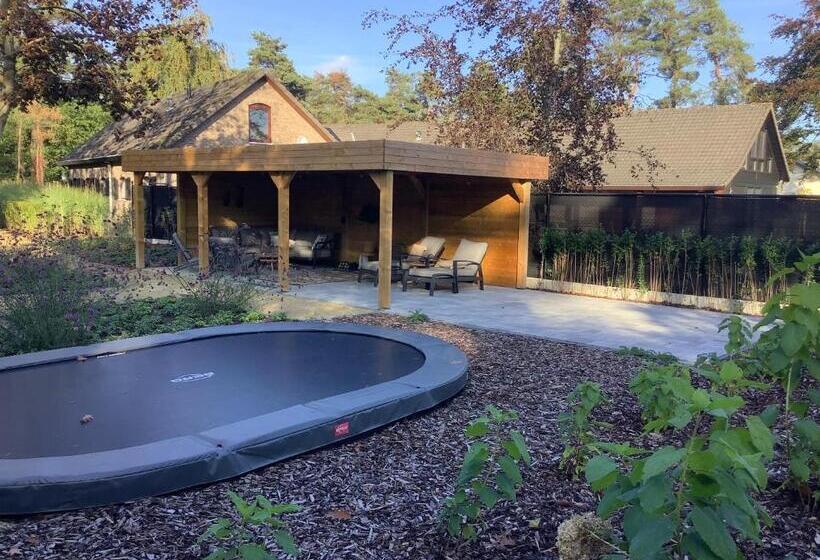 住宿加早餐 T Wilgenhuys