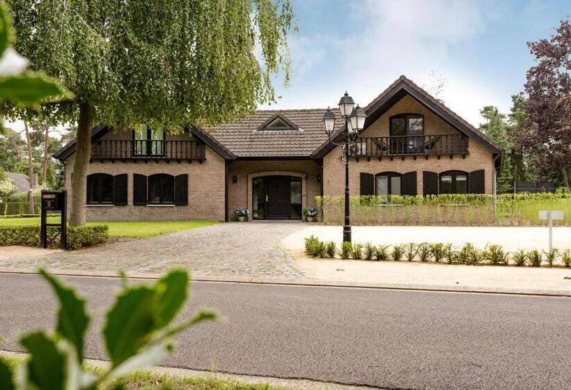 住宿加早餐 T Wilgenhuys