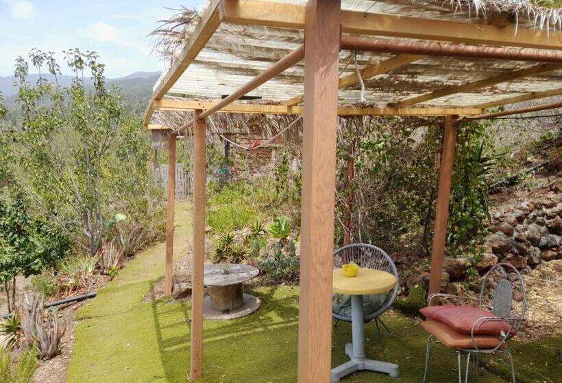 تختخواب و صبحانه Abracaribes