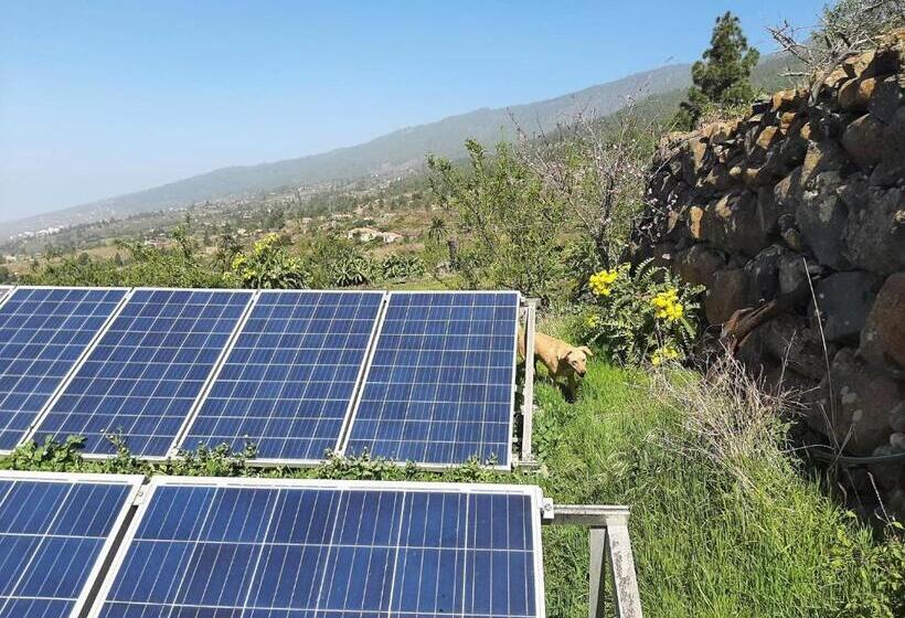 تختخواب و صبحانه Abracaribes