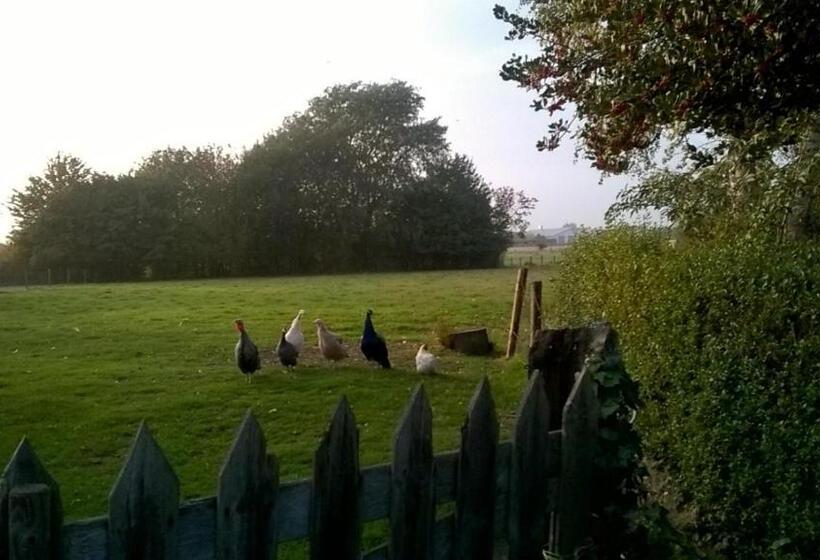 住宿加早餐 Bed Op De Reth