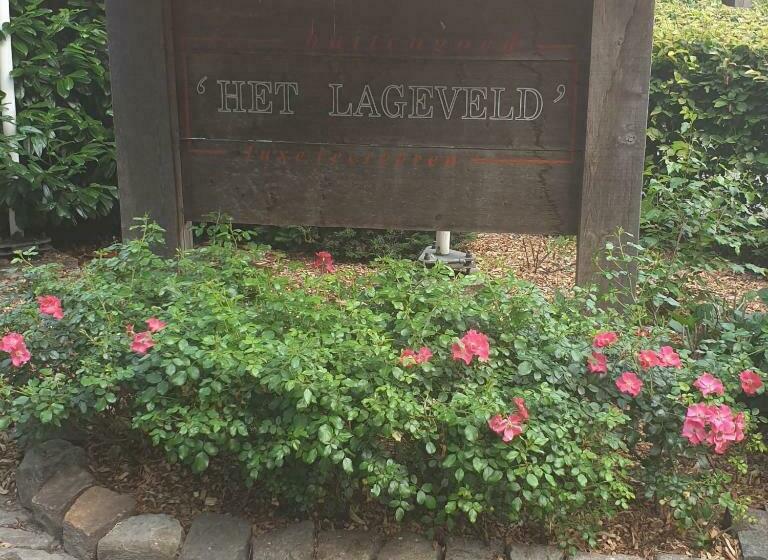 ベッドアンドブレックファースト Bglv