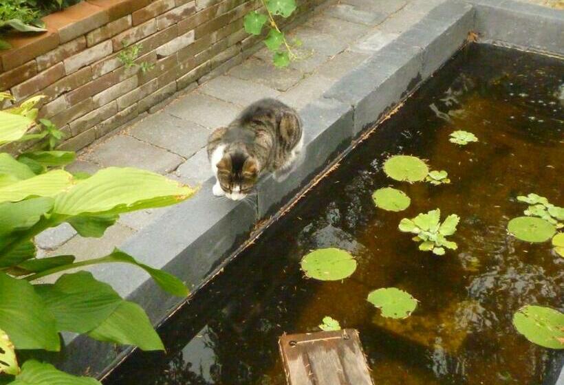 مبيت وإفطار Cessinas