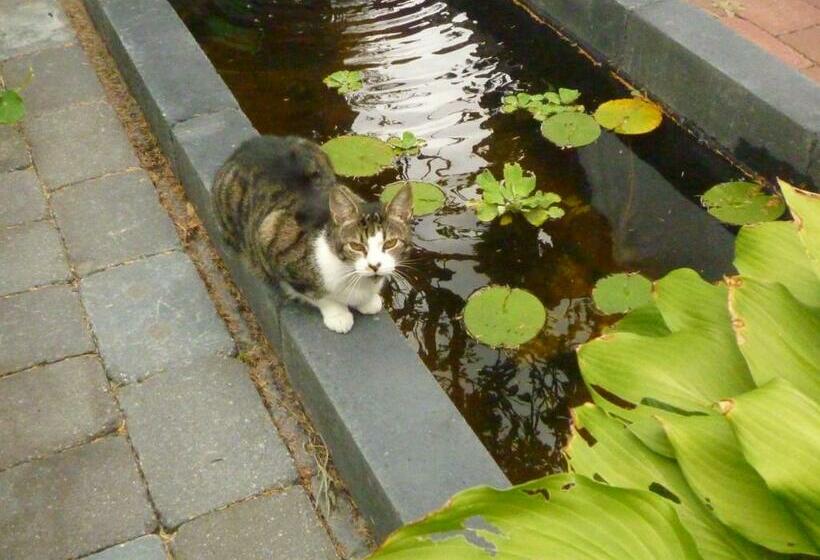 مبيت وإفطار Cessinas