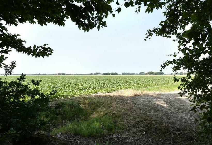 مبيت وإفطار De Buitenhof