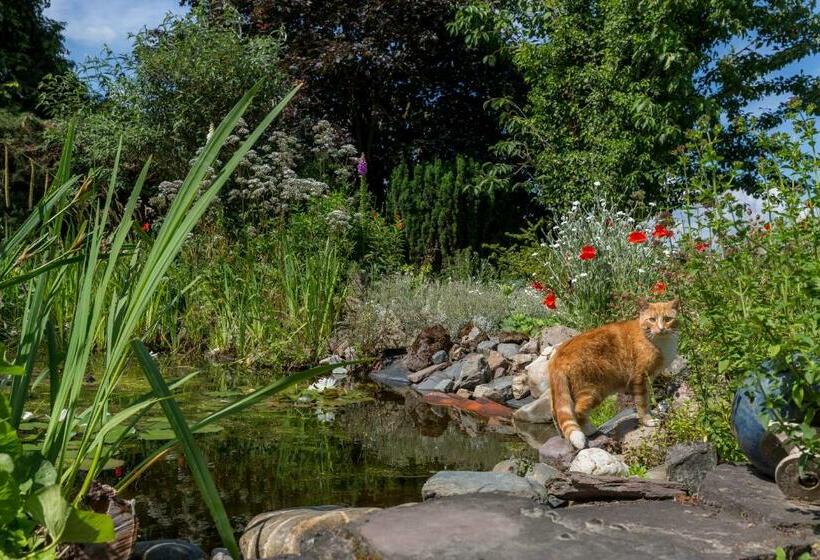 住宿加早餐  De Nieuwe Warande
