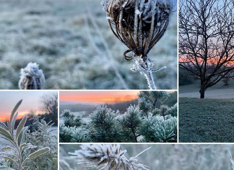 مبيت وإفطار Domaine De Cazal   Chambres D Hôtes Avec Piscine Au Cœur De 26 Hectares De Nature Préservée