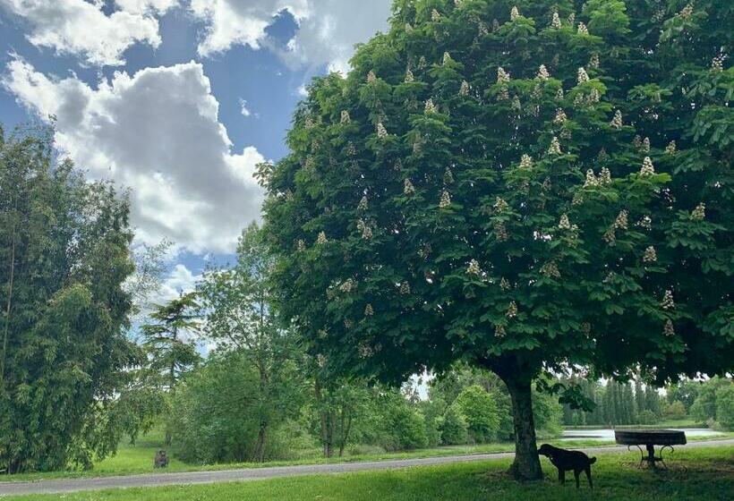 Bed and Breakfast Domaine Du Pont Salmois