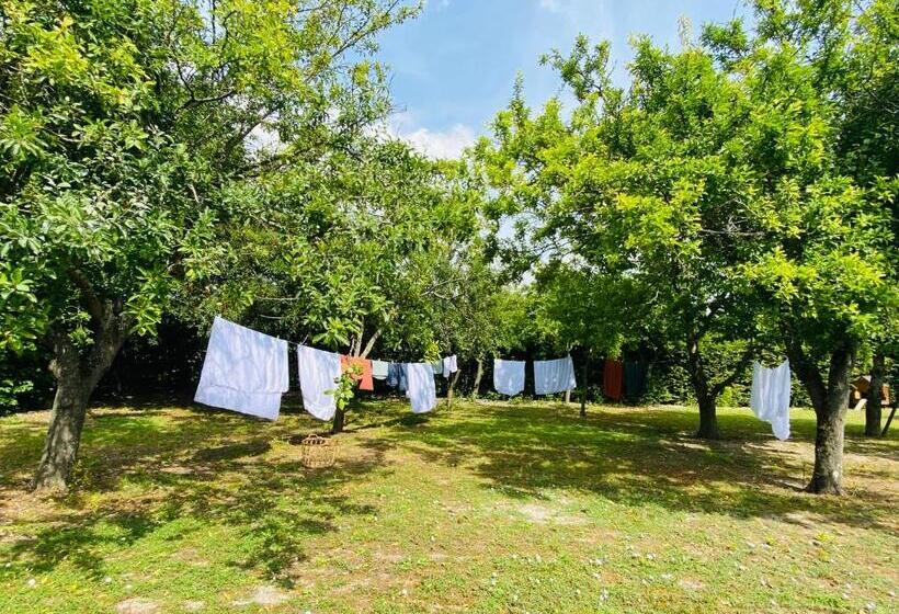 민박 Gîte Verveine Bain Nordique Jacuzzi L écrin De Verdure Chinon