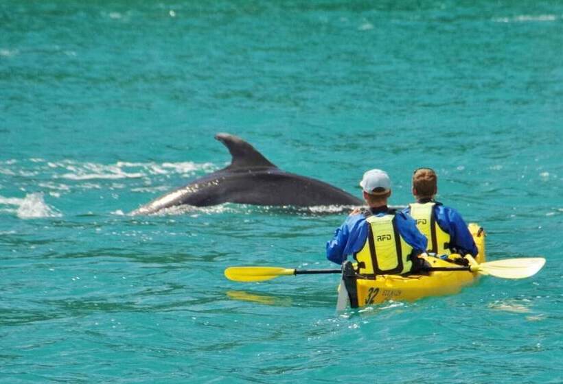 住宿加早餐  Kaiteriteri Retreat