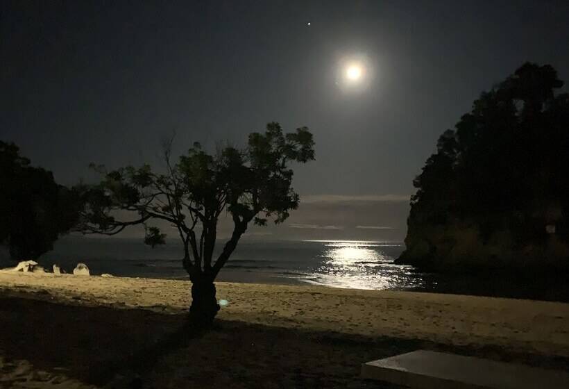 住宿加早餐  Kaiteriteri Retreat