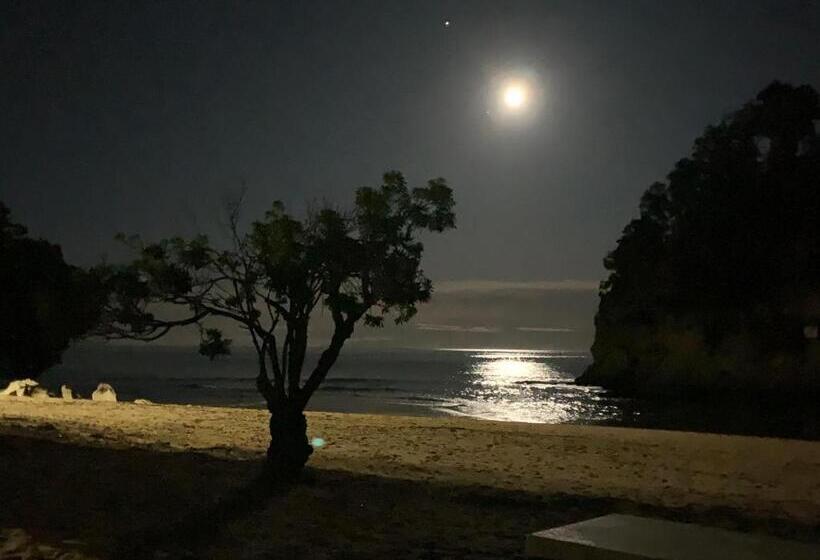 住宿加早餐  Kaiteriteri Retreat