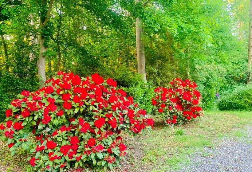 Bed and Breakfast La Tour D Héloïse 10 De Bruxelles