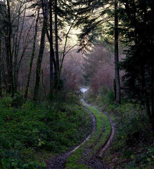 Bed and Breakfast Le Clos Des Artistes Chambres D Hôtes