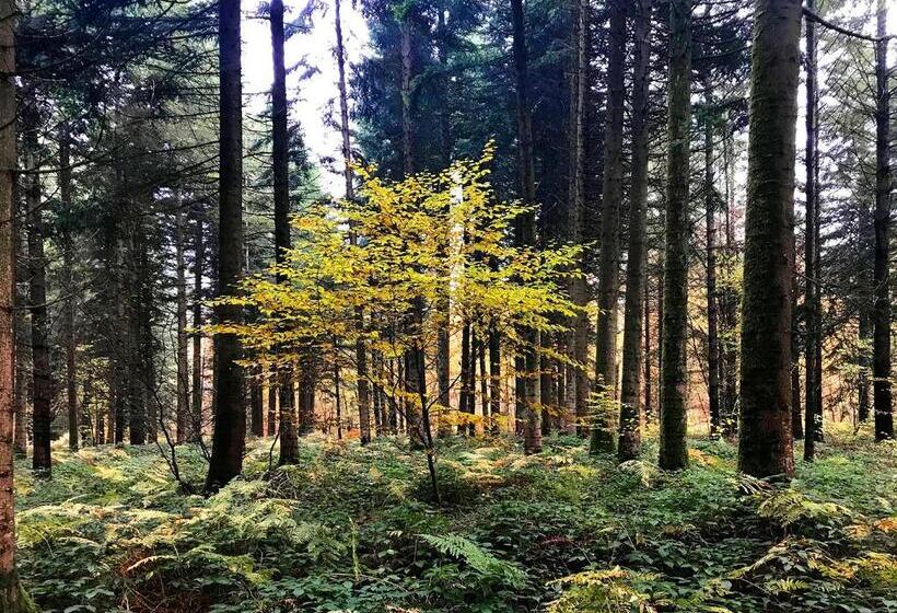 Bed and Breakfast Le Clos Des Artistes Chambres D Hôtes