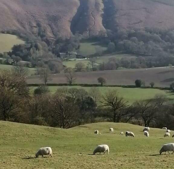 Bed and Breakfast Matt S Farm