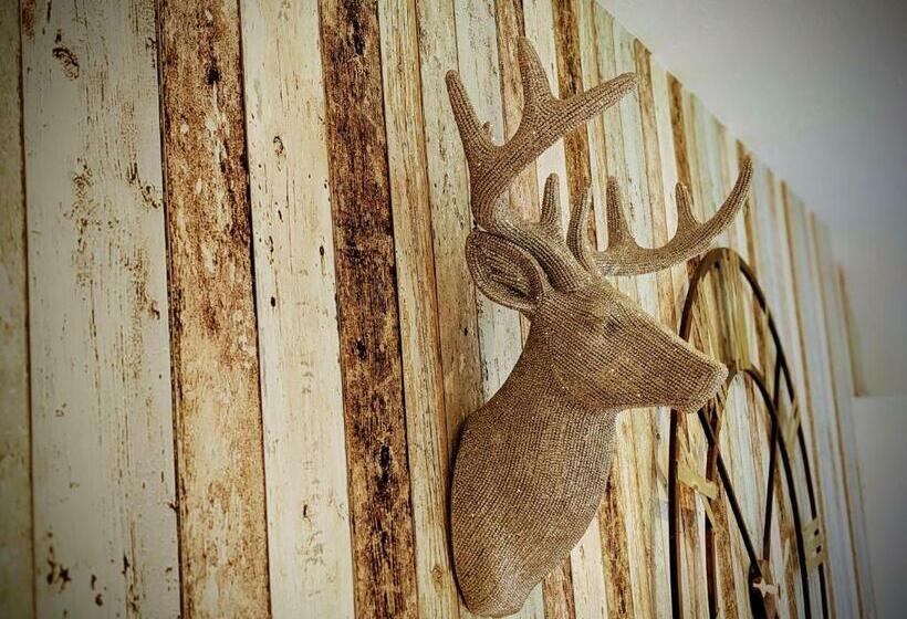 Bed and Breakfast Matt S Farm