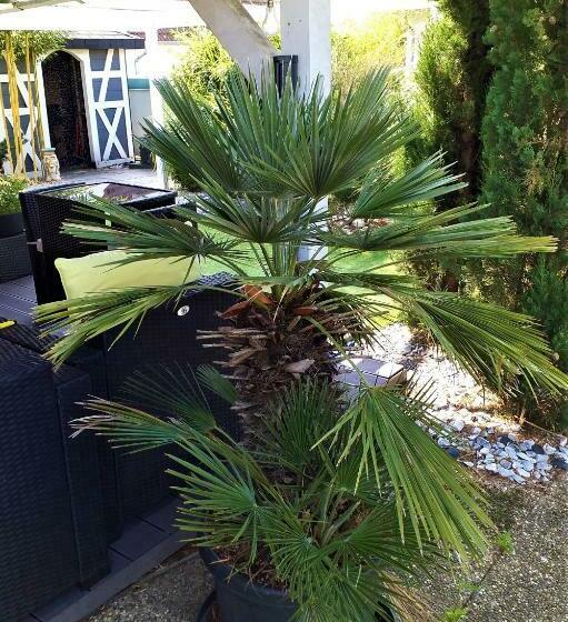 Bed and Breakfast Moderne Home Original Design