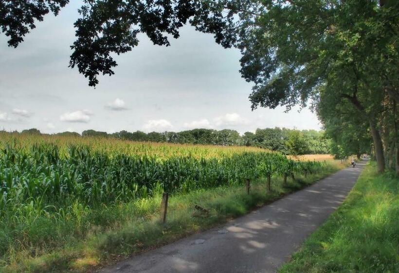 住宿加早餐  Oetervallei