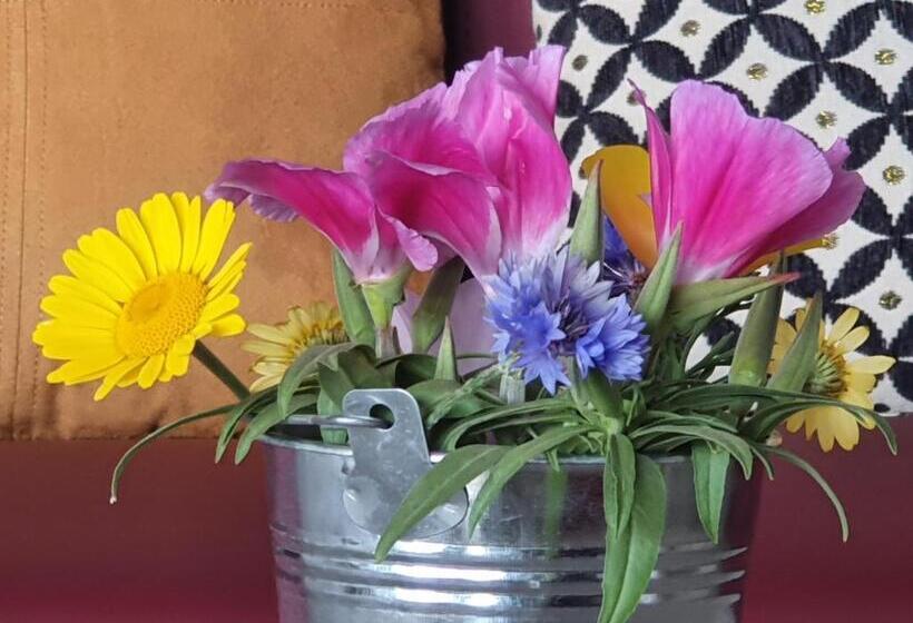 ベッドアンドブレックファースト Reflets De La Mer..