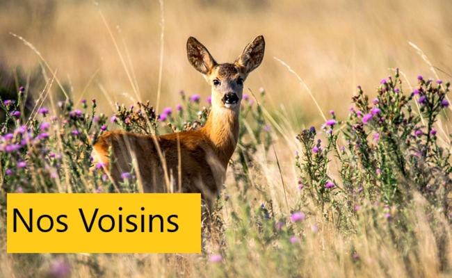 ベッドアンドブレックファースト Reflets De La Mer..