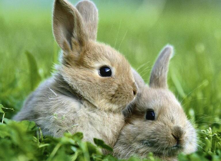 ベッドアンドブレックファースト Reflets De La Mer..