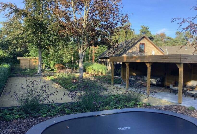 住宿加早餐 T Wilgenhuys