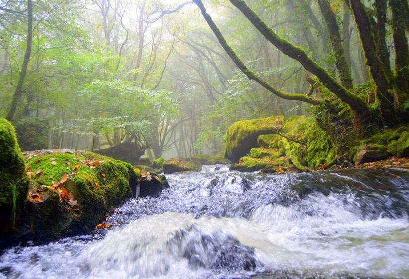 住宿加早餐  The Creamery