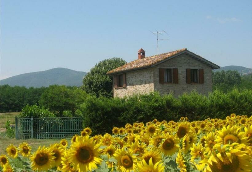 Отель Agriturismo Gli Arrighi