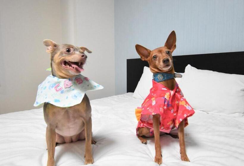 ホテル Regariain   Vacation Stay 85010