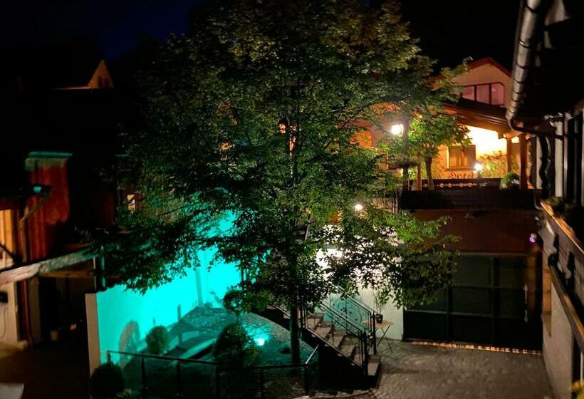 酒店 Restaurant Zur Traube