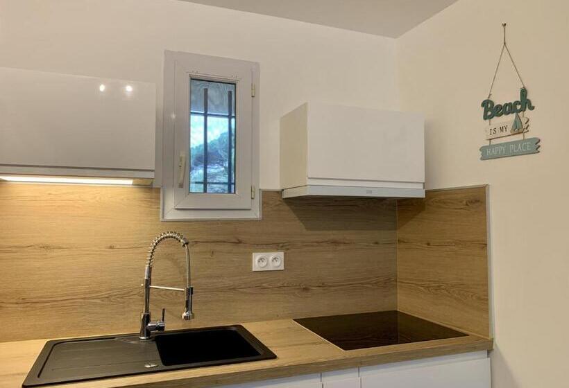 La Badine 5p Plage Piscine Clim Jacuzzi Parc Luxuriant