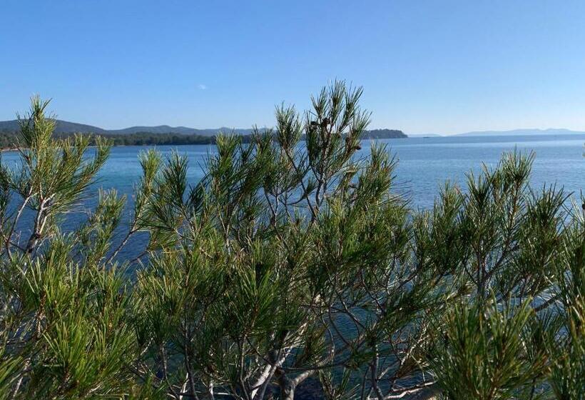 La Badine 5p Plage Piscine Clim Jacuzzi Parc Luxuriant