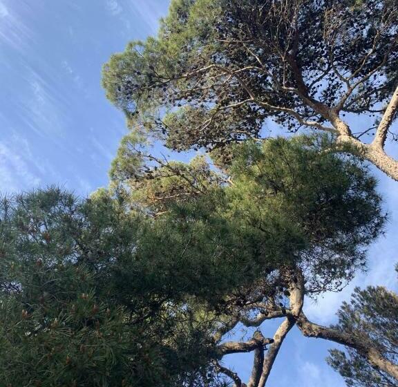 La Badine 5p Plage Piscine Clim Jacuzzi Parc Luxuriant